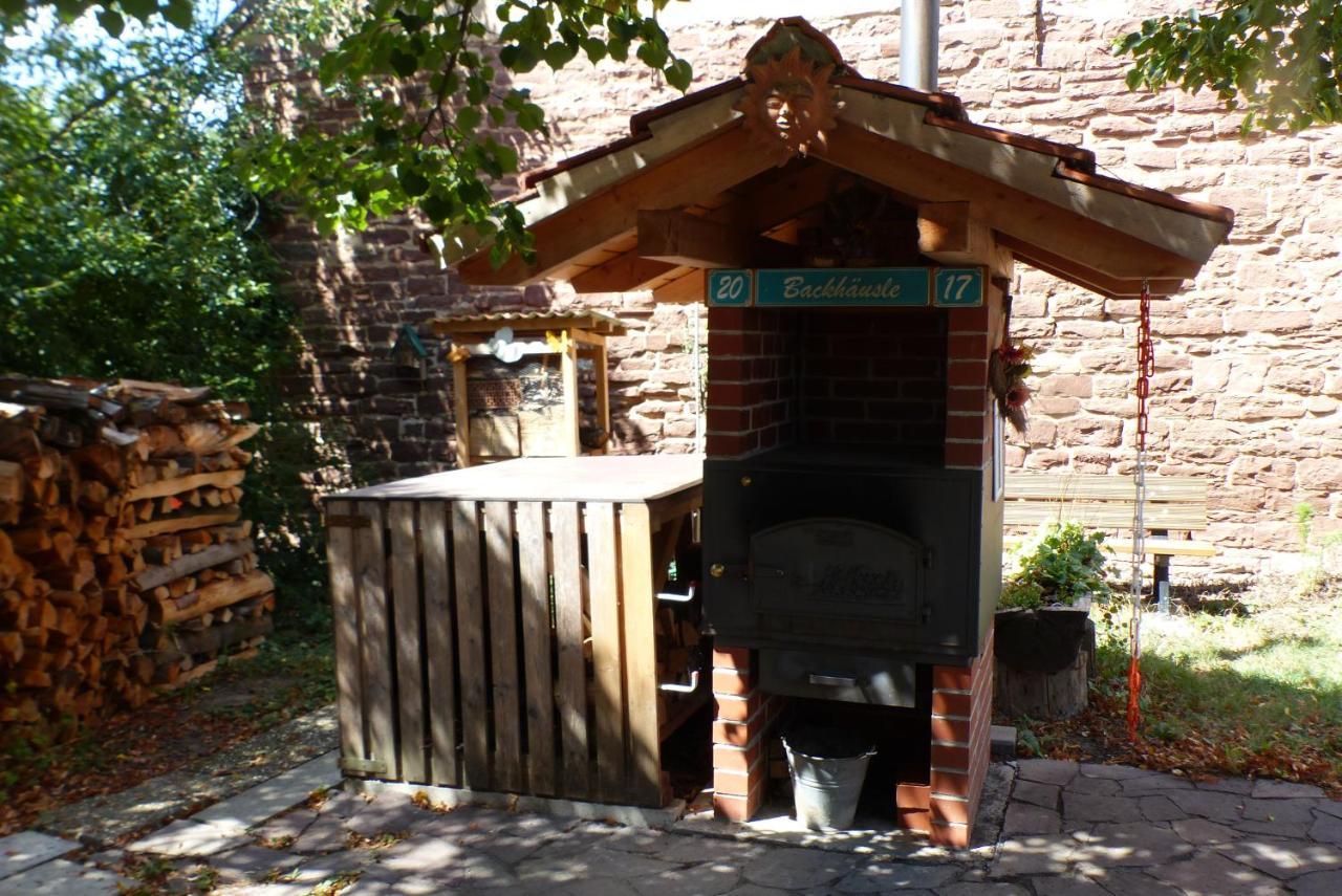 Pension Schreckhof Mosbach  Buitenkant foto
